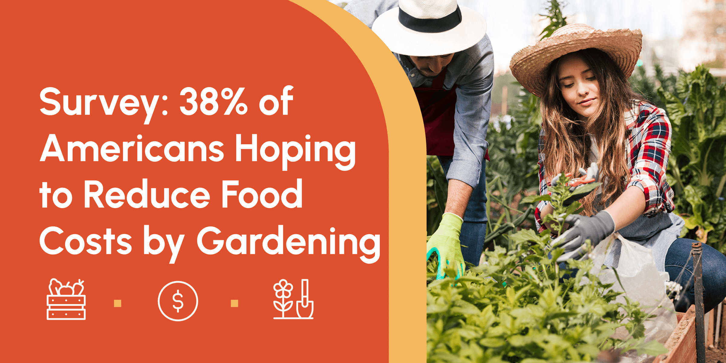 Survey: 38% of Americans Hoping to Reduce Food Costs by Gardening